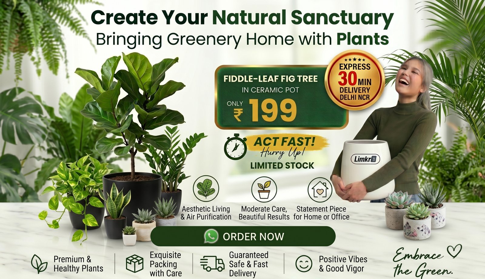 Limkrt Special Offers